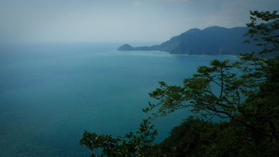 Region
