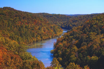 Region